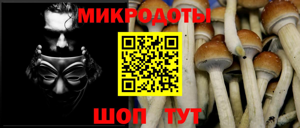 Кинель  Псилоцибиновые грибы Cubensis  Вход с VPN 